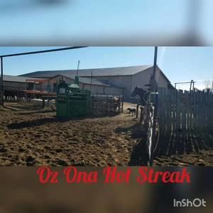 Meet your Posher, Stacy